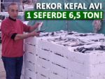 Pazar'da tek seferde 6,5 ton kefal yakalandı!