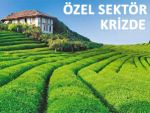 ÇAY SEKTÖRÜ SEZONA ENDİŞELİ GİRİYOR!