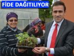 ARDEŞEN, YEREL TATLARINI ARIYOR