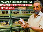 PAZAR'DA BILDIRCIN ÇİFTLİĞİ KURULDU