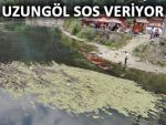 UZUNGÖL SAZLIK VE YOSUN BAHÇESİ OLDU