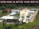 Dünyanın en büyük sıkıştırılmış doğalgaz tesisi