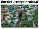 ÇAY EKSPERLERİ ÜRETİCİNİN HEDEFİ OLDU