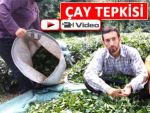 RİZELİ BİR ÇUVAL ÇAY İLE MEYDAN OKUDU