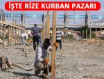 Rize'de Kurban Pazarı için hazırlıklara başlandı