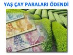 AĞUSTOS ÇAY PARALARININ TAMAMI ÖDENDİ