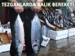 BAYRAMDA TEZGAHLAR BALIK İLE ŞENLENDİ