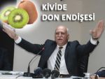 DON, KİVİYE BÜYÜK ORANDA ZARAR VERDİ