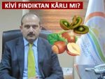 Fındıktan daha kazançlı. Trabzon kiviye dönüyor