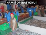 RİZE'DE  27 TON HAMSİYE EL KONULDU