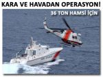 36 ton hamsi için hava ve karadan operasyon!