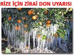 RİZE'DE ÜRETİCİLERE ZİRAİ DON UYARISI