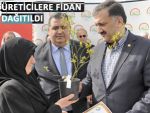 RİZE’DE 14 BİN LİKAPA FİDANI DAĞITILDI