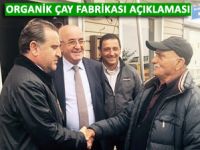 Fındıklı Organik Çay Fabrikası ile kalkınacak