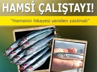 3. ULUSAL HAMSİ ÇALIŞTAYI BAŞLADI