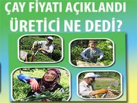 ÜRETİCİ YAŞ ÇAY FİYATINI NASIL BULDU?