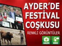 AYDER'DE FESTİVAL ÇOSKUSU