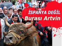İSPANYA DEĞİL ARTVİN