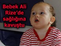 MİNİK ALİ RİZE'DE SAĞLIĞINA KAVUŞTU