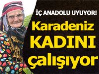 KARADENİZ'DE KADINLAR ÇALIŞIYOR