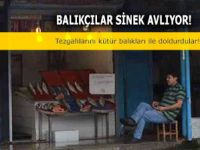 Av yasağı başladı, balık tezgahları boşaldı!