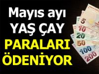 MAYIS AYI YAŞ ÇAY BEDELLERİ ÖDENİYOR