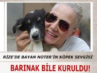 RİZE'DE BAYAN NOTER'İN KÖPEK SEVGİSİ