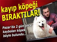 Pazar'da kayıp köpek, sahibine kavuştu