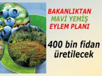 BAKANLIKTAN MAVİ YEMİŞ EYLEM PLANI