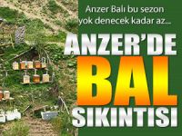 ANZER'DE BAL REKOLTESİNDE REKOR DÜŞÜŞ