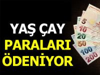 Ağustos ayı çay paraları ödenmeye başladı