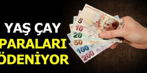 Haziran ayı yaş çay bedelleri ödeniyor