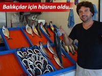 YENİ AV SEZONU BALIKÇILAR İÇİN HÜSRAN OLDU