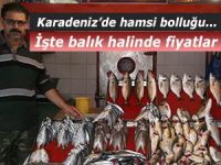 İşte hamsi bereketi yaşanan balık halinde fiyatlar: