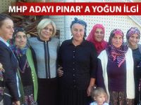 KÖY VE MAHALLELERDE PINAR' A İLGİ BÜYÜK