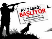 DİKKAT! AV YASAĞI BAŞLIYOR