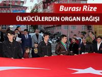 ÜLKÜCÜLERDEN ORGAN BAĞIŞI