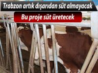 TRABZON ARTIK DIŞARIDAN SÜT ALMAYACAK