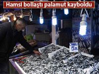 KARADENİZ’DE HAMSİ BEREKETİ YAŞANIRKEN PALAMUT KAYBOLDU