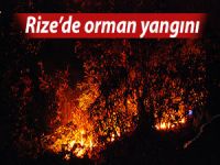 RİZE’DE ORMAN YANGINI