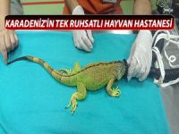 KARADENİZ'İN TEK RUHSATLI HAYVAN HASTANESİ