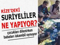 Suriyeli çocuklar dilenirken babaları iskambil oynuyor