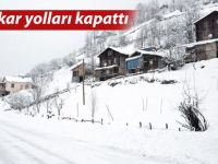 D. Karadeniz'de bin 78 mahalle ve köy yolu ulaşıma kapandı