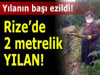 Köye korku salan 2 metrelik yılanı öldürdü!