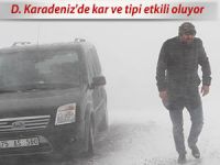 D. Karadeniz'de kar ve tipi etkili oluyor