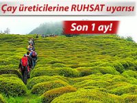 Çaykur'dan üreticilere RUHSAT uyarısı