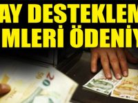 Yaş çay destekleme primi ödemeleri ne zaman?