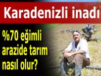 YÜZDE 70 EĞİMLİ ARAZİDE TARIM NASIL YAPILIR?