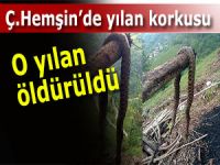 ÇAMLIHEMŞİN’DE YILAN KORKUSU