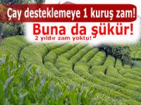 Çay destekleme fiyatı 13 kuruş olarak açıklandı